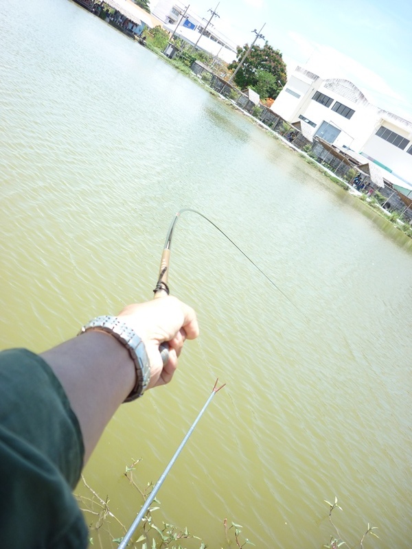                                      ลองตกบาล๊านซ์กลางน้ำลองเชิงดูก่อน    :cheer:   ไม่กี่เม็ดโดนเลย
