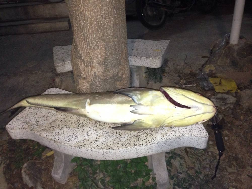  :grin: [b]ข้อความ[/b]