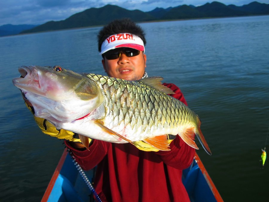  [b]** ยังหล่อได้อีกครับน้ายอด.........จัดให้ [/b]   :cool: :cool: :cool: :cheer: