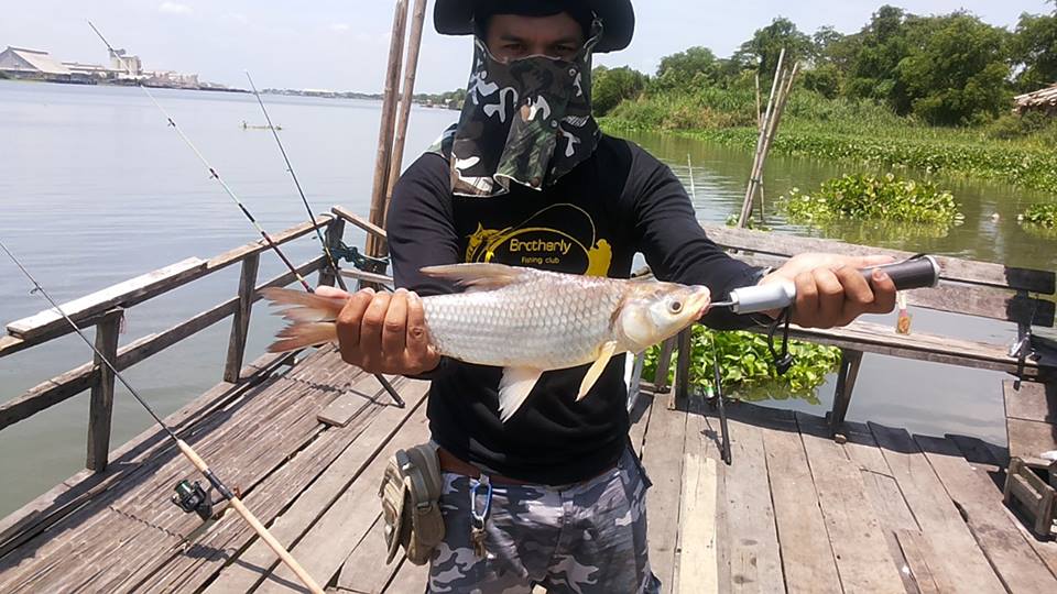ผ่านไปอีกแปปเดียวปลาอีกตัวก็ขึ้นมาคับ ตัวนี้ของผมเองใหญ่สุดในทริปนี้เลยลากรอกดังอารมณ์ตอนนั้นก็รู้ๆก
