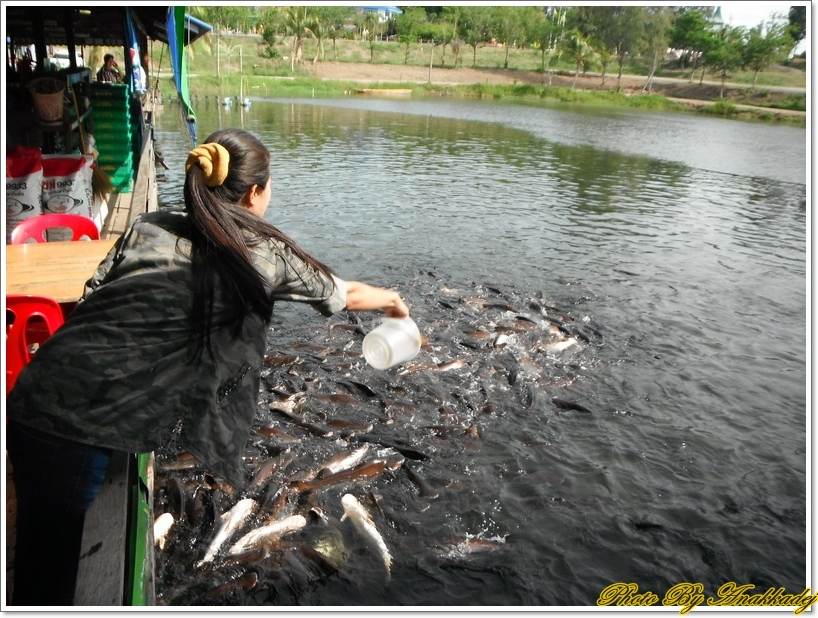 เนื่องจากส่วนตัวผมสนับสนุนร้านค้าที่ราคายุติธรรมและไม่เอาเปรียบเราจนเกินไป เมื่อมาเจอที่นี่ก็เห็นว่า