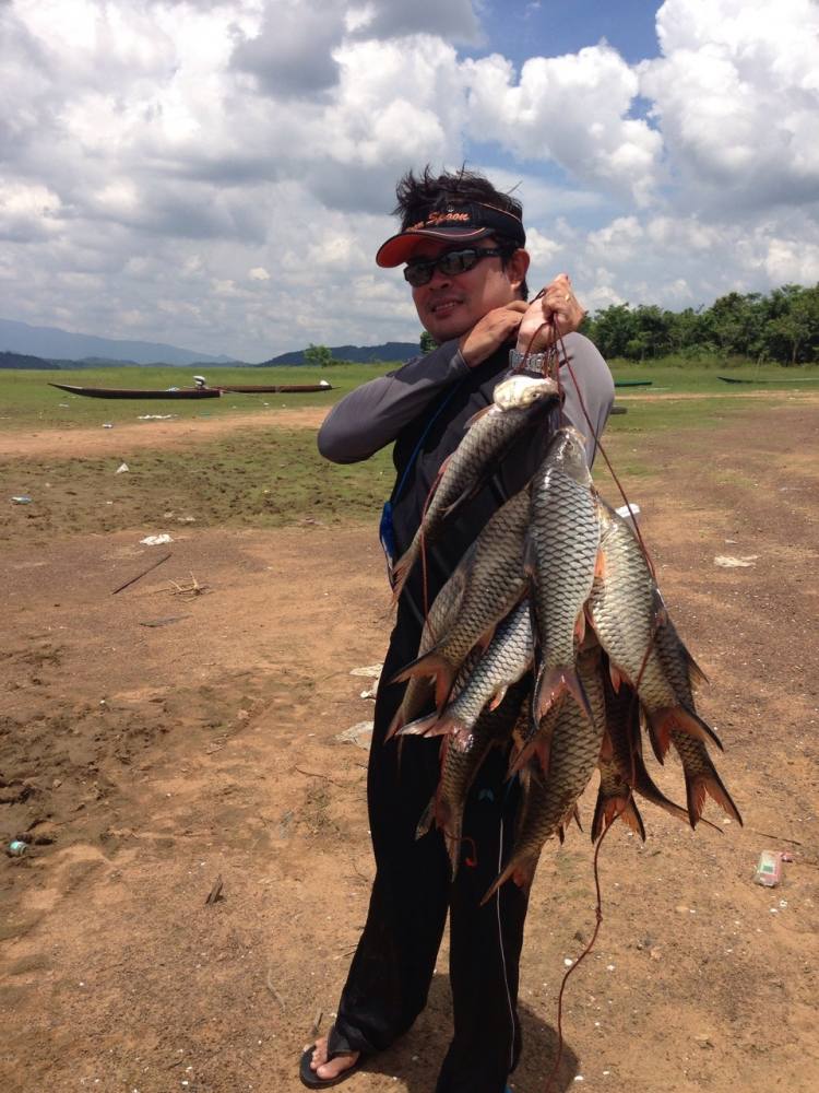 รวมมิตร ฮิตประแสร์ (Demon fish)