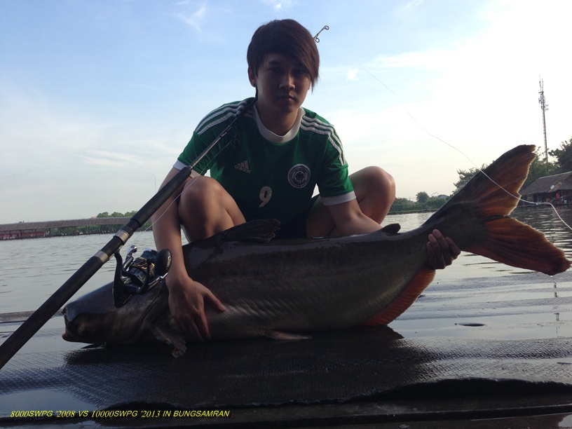 REEL- STEELA 10000SWPG '2013
ROD- Carpenter PE6-10
LINE- YGK JIGMAN WX8 PE8
Other- GAMAKATSU LIV