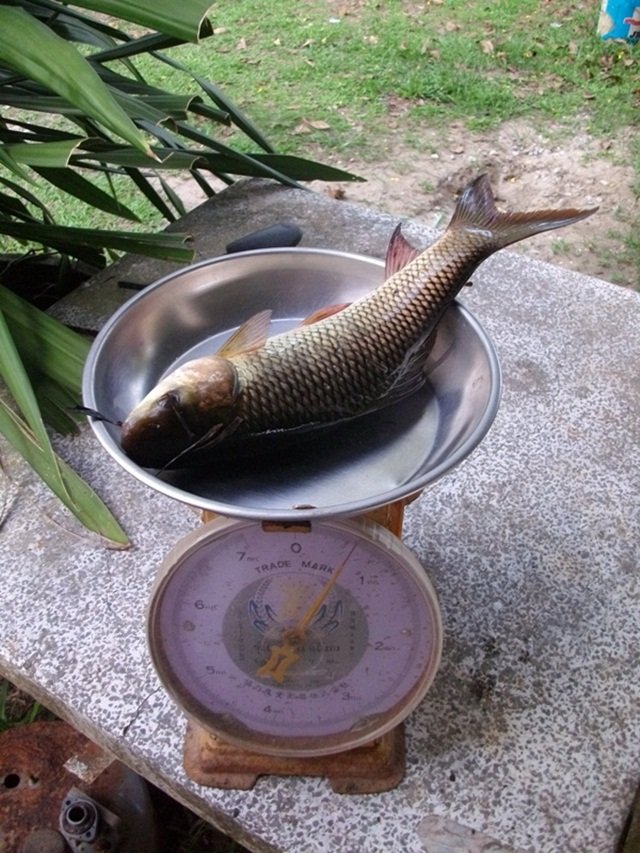 อีกรูป :smile: :smile: