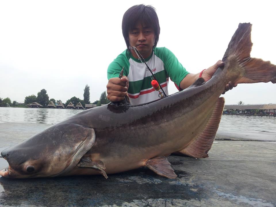 ขึ้นมาแล้วกับตัวนี้ของลุงอ้ำสวดยอดเลย

 :cheer: :cheer: :cheer: :cheer: