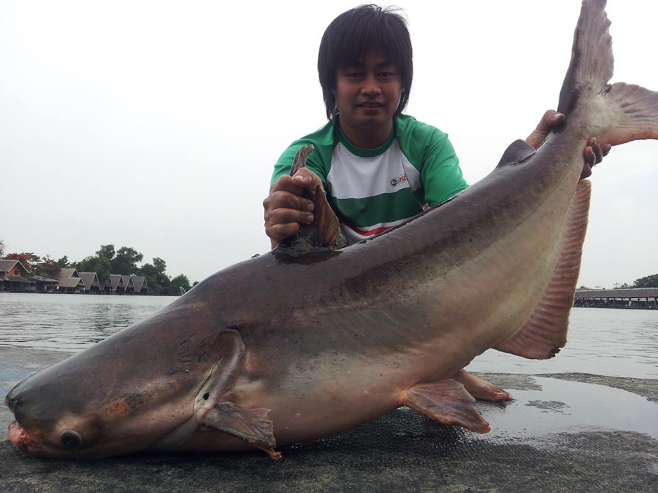ตามมาติดๆๆกับลุงอ้ำ สวดยอด



 :cheer: :cheer: :cheer: :cheer: :cheer: :cheer: :cheer: