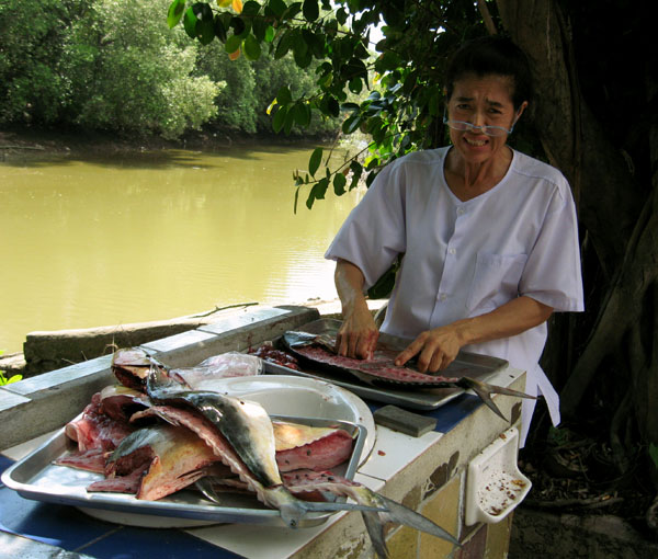 ล่องเรือหาปลาสละแล่