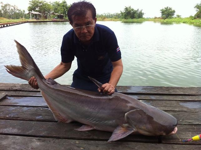 เริ่มเหนื่อยนิดหน่อย ขอบคุณครับ