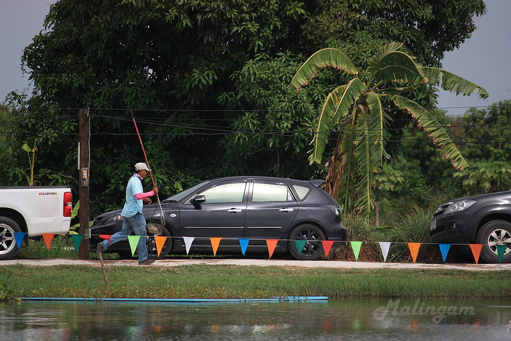 ทำไมเราไม่ได้วิ่งชั่งปลา...มั๊งหว๊า   :sad: :laughing: