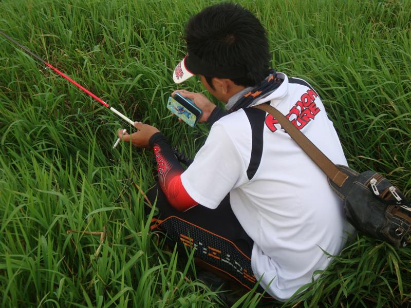 ปลาเริ่มตื่นรอมันจิบก่อนละกันค่อยตี