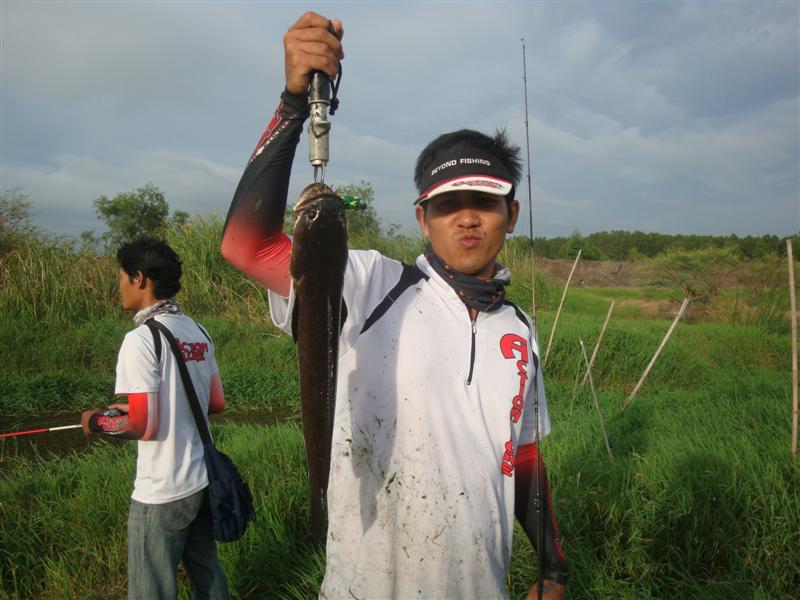 และแล้วปลาผู้ช่วยชีวิตนายไฝ มาหลงกลกบ ActionLureแล้ว :grin: :grin: