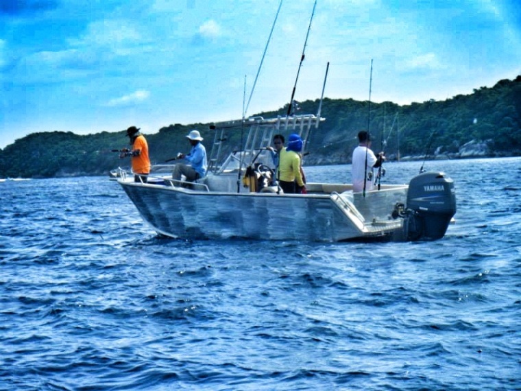 Haloo3 Jigging on tour