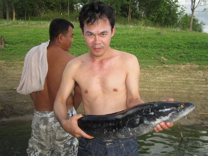  :cheer:จัดไปหล่อแล้ว ทำปลาด้วยนะ :cheer: :grin: :grin: