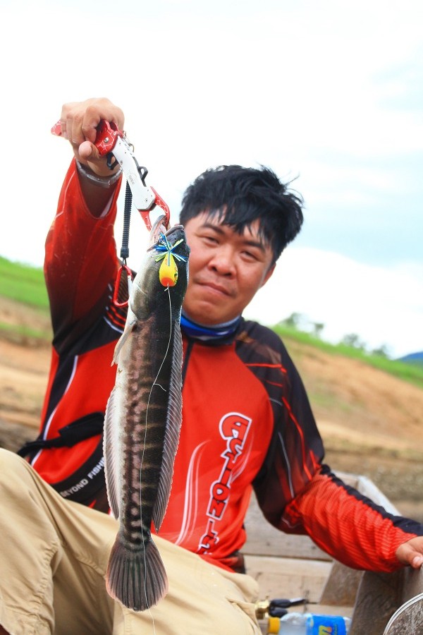  :grin: :grin: :grin: ขออีกรูปแล้วกันกบเอสาม