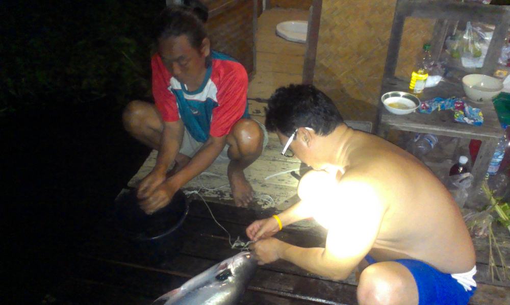 ล่ามครับ