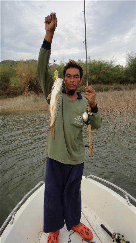 ใต๋สมชาย แห่งทับเสลา ที่ดูเทคนิคเรียนรู้ การตกปลา จากโปรญี่ปุ่น จนแตกฉาน  และจากสมชาย คนเดิม วันนี้ต
