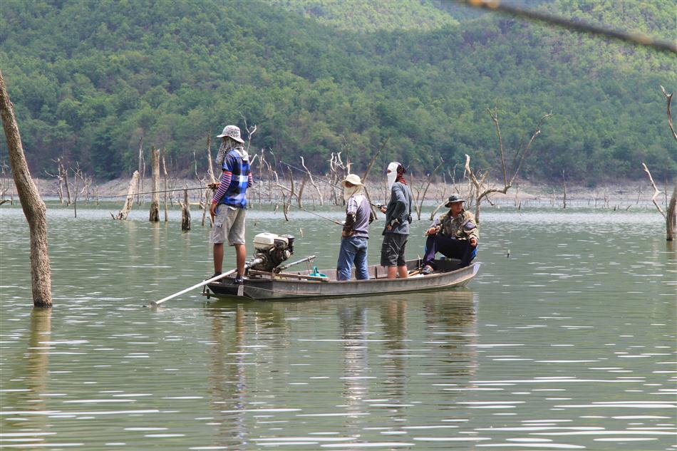 เรือไม้ก็แถวตรงกันไป เหห็นว่าได้หลายหน่วย แล้ว