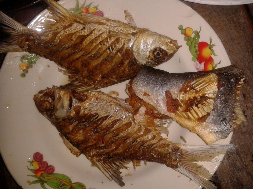 ตระโกกทอดกรอบครับ :laughing: :laughing: :laughing: