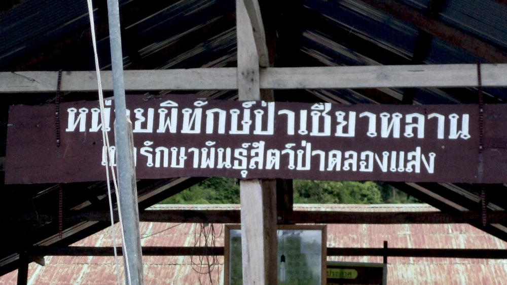 น้อยบอกแวะเอาเรือเล็กก่อน :love: :love: :love: :love: :love: