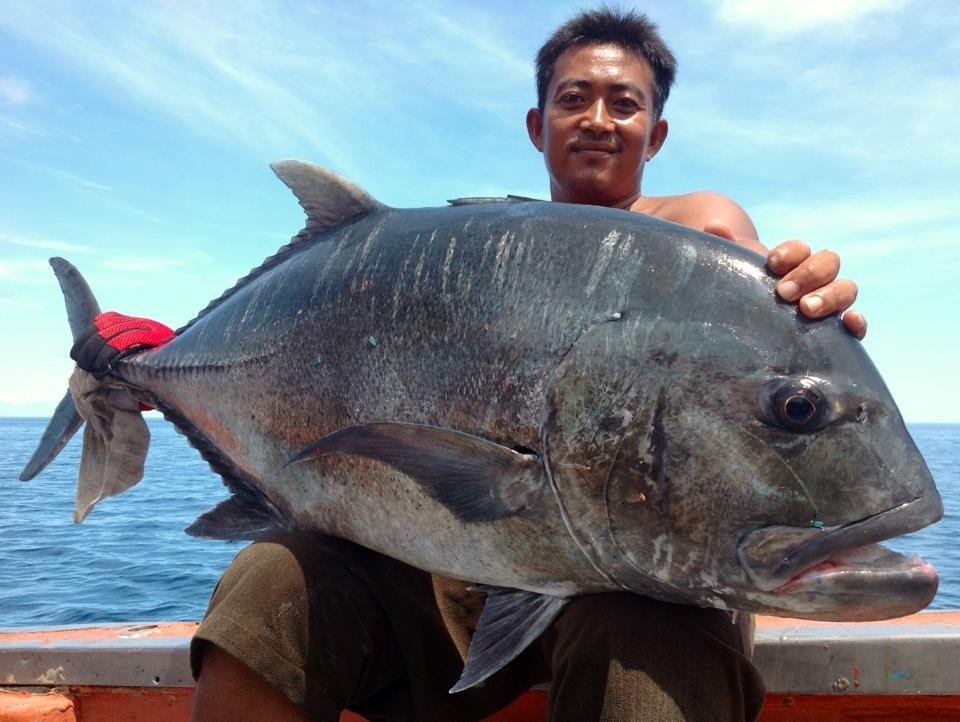 Supper Popping North Andaman Thailand  April 2013 กระทู้นี้ดราม่าไม่รับคะแนน