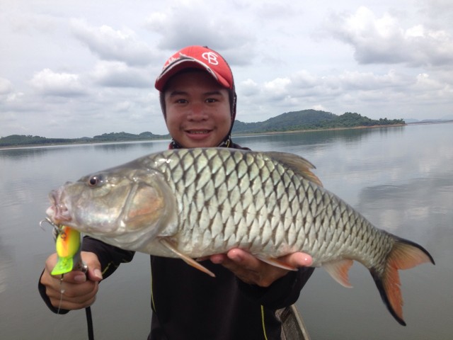 [q][i]อ้างถึง: kung_huahin posted: 13-06-2556, 11:09:18[/i]

+ :cheer: :cheer: :cheer: :cheer: :ch