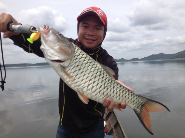 [q][i]อ้างถึง: pato posted: 13-06-2556, 11:19:36[/i]

++ :cheer: :cheer: :cheer: :cheer:[/q]
สวัส