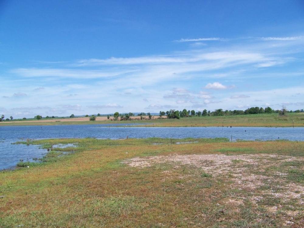 สภาพหมายด้านนี้ น้ำลดตอผุดเยอะเลยคับ 55 :grin: :grin: :grin: :grin: :grin: :grin: