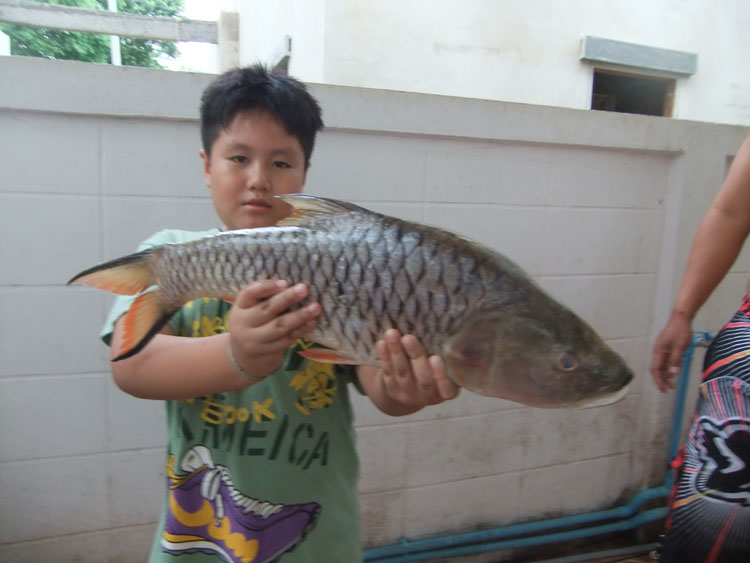 บางส่วนก็แบ่งปันจากธรรมชาติมาใช้ประโยชบ้าง เพื่อหล่อเลี้ยงชีวิต ให้เกิดสมดุล
