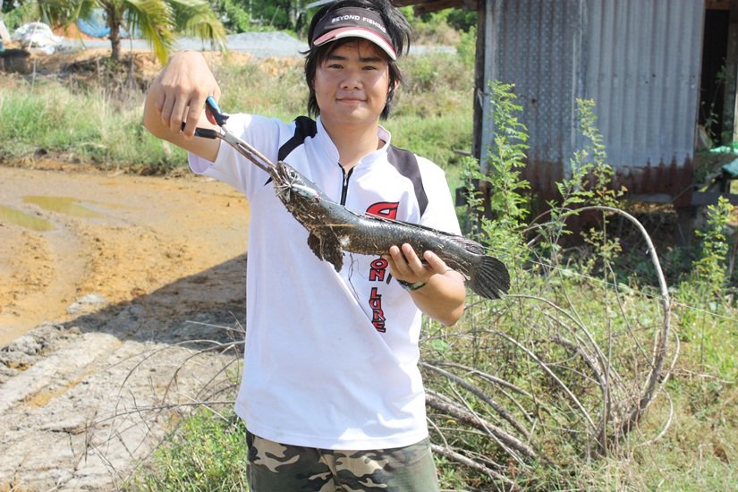           [b]พอดีเดินไปเจอคนทำนาพอดี เลยวานให้เค้าถ่ายรู้ซะหน่อยยย จัดไปครับบบบ[/b] :sleeping: :slee