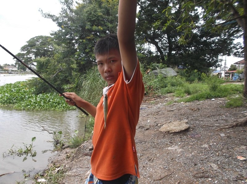  [b]น้องชาย มาช่วยตก  ได้ปลาซิลอ้าว  ตัวใหญ่ใช้ได้เลย[/b]


         :grin: :grin: :grin: :grin: 