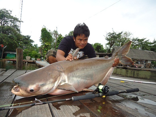 ผม  ไพรัตน์ สุขประเสริฐ
ชื่อเล่น จิม ครับ
อายุ 37 ปี
จ.นนทบุรี
เพื่อนๆ น้าๆ น้องๆ เจอกันตามสถานท