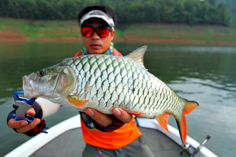 [q][i]อ้างถึง: pitsanu. posted: 17-06-2556, 15:37:48[/i]

 นุ ขอตามชม ตามเชียร์ด้วยครับน้า  :cheer
