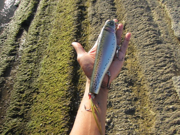 ข้อเสียของเหยื่อ Swimbait แบบเมื่อกี้คือตีเหยื่อได้ไม่ไกลครับ.....
มิน่า!! ไม่เคยได้ตัว :grin: :gri