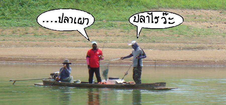 ไอ้หย๊ะ   ปลานิล กัด ซีดี   :laughing: :laughing: :laughing: :laughing: :laughing: :laughing: :laugh