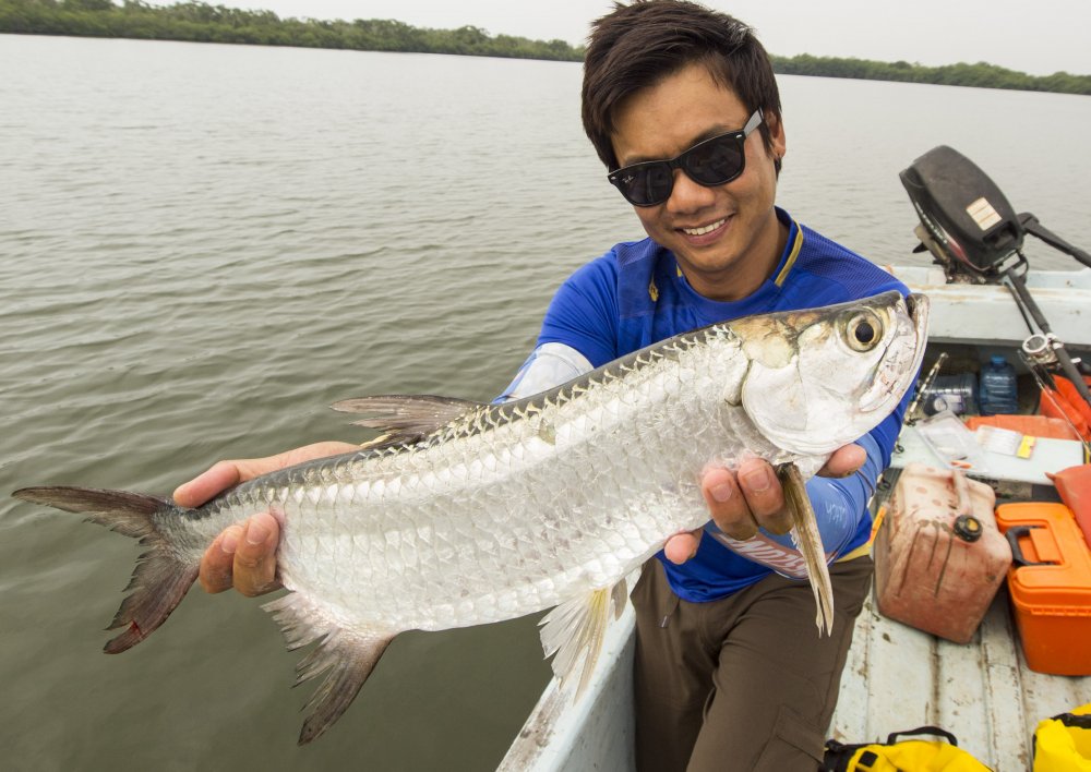 นักตกปลาทาร์ปอนชอบพูดว่า Hook Tarpon, it is not the hardest part but keeping it on the line it is...