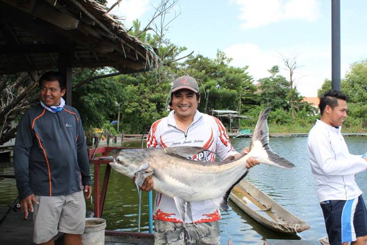 น้าวุฒิเอาตัวนี้ขึ้นมา ตีเม็ดโดดแบบเงาน้ำ ตัวนี้ดันมากิน เลยขโมยมาถ่ายรูปซะเลย

 :laughing: :laugh