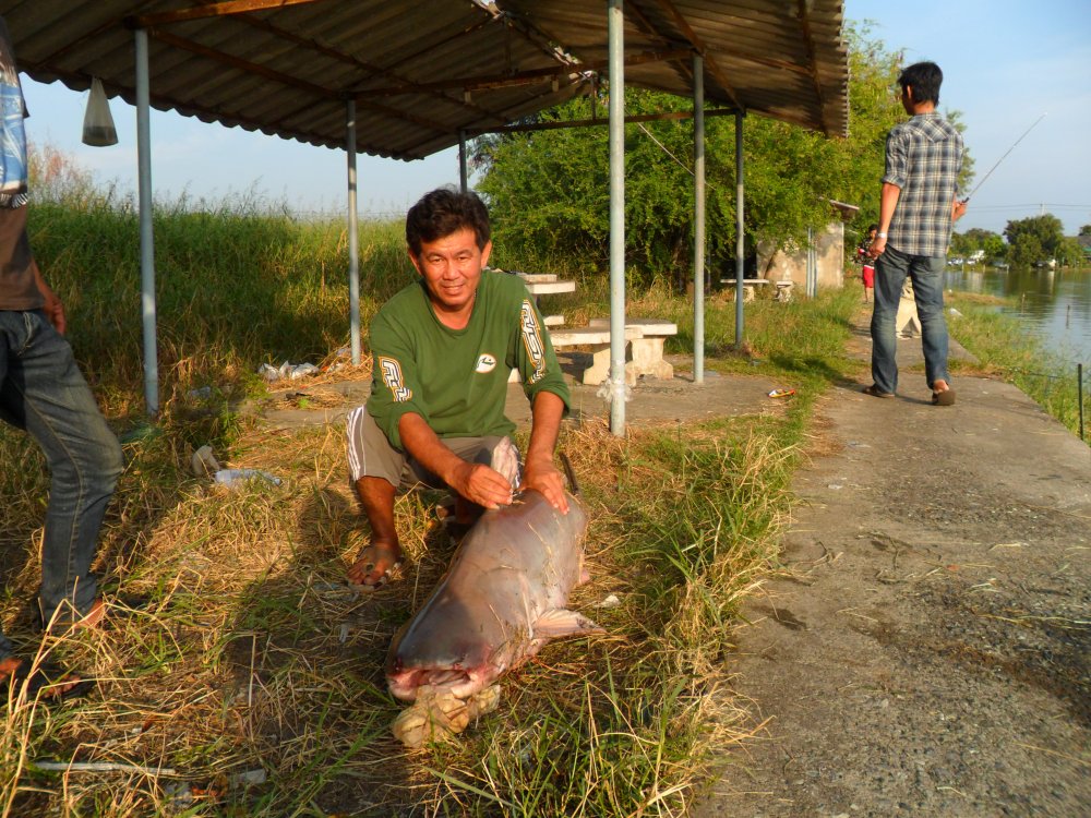 ทริปสบายๆที่พัชชริ้ง