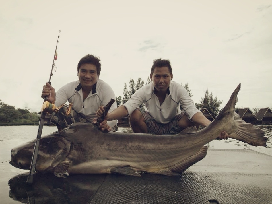 
งวดนี้ตัวนี้ของหมอไม่มา  :grin: