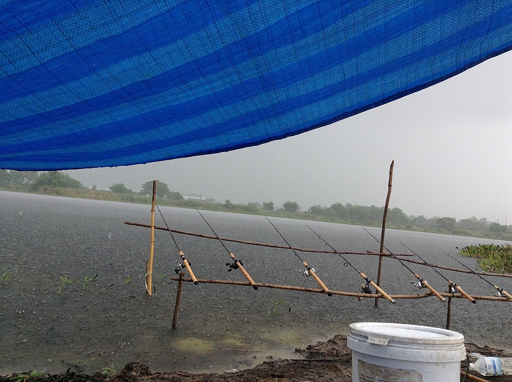 พอหลุดไปสักพักฝนก็ตก ยังมีปลามาเล่นทุ่นผมแต่ไม่ติดเบ็ดครับ