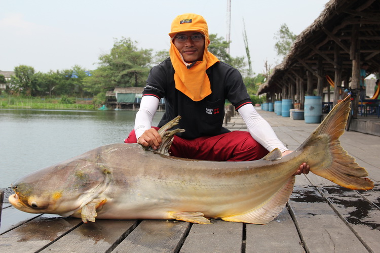 [q][i]อ้างถึง: jakraphad_2 posted: 22-06-2556, 08:41:29[/i]

คิดถึงทุกคนนะ  :laughing: :laughing: 