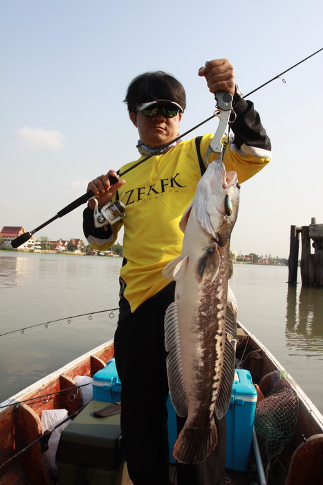 หล่อไปเลยลูกพี่ 

คัน   Zerek Origin Series รุ่น SABETWITCH  10-17  

รอก  DAIWA

เหยื่อ ZEREK