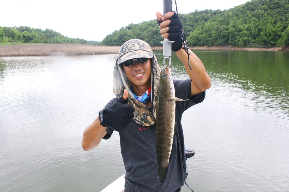 ตัวนี้เล็กกว่าสองตัวแรกแต่ก็อ้วนท้วนดี  :love: