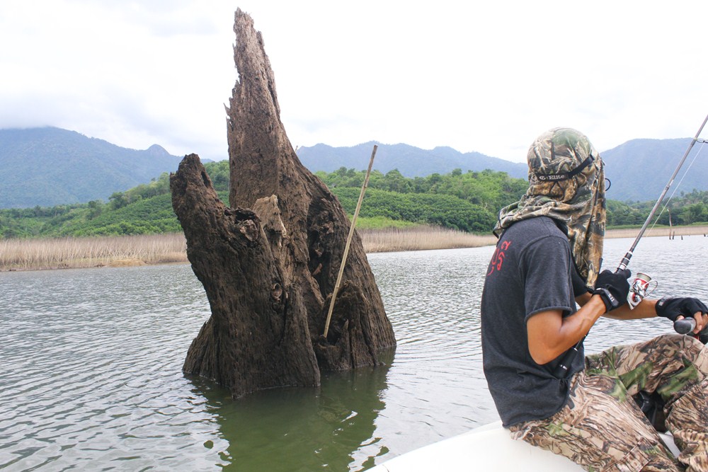 หลบตามตอแล้วรอมันจิบรอบๆเรือแบบนี้  :blush: