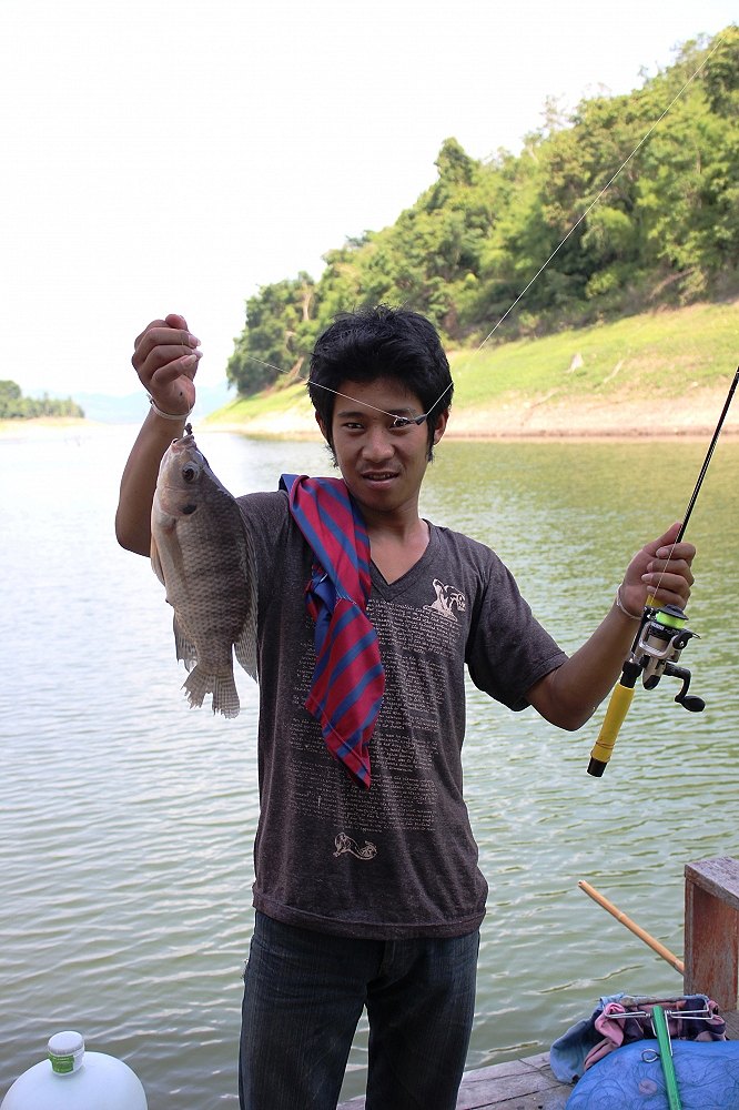 ไต๋เติ้ล จัดปลานิลเขื่อน