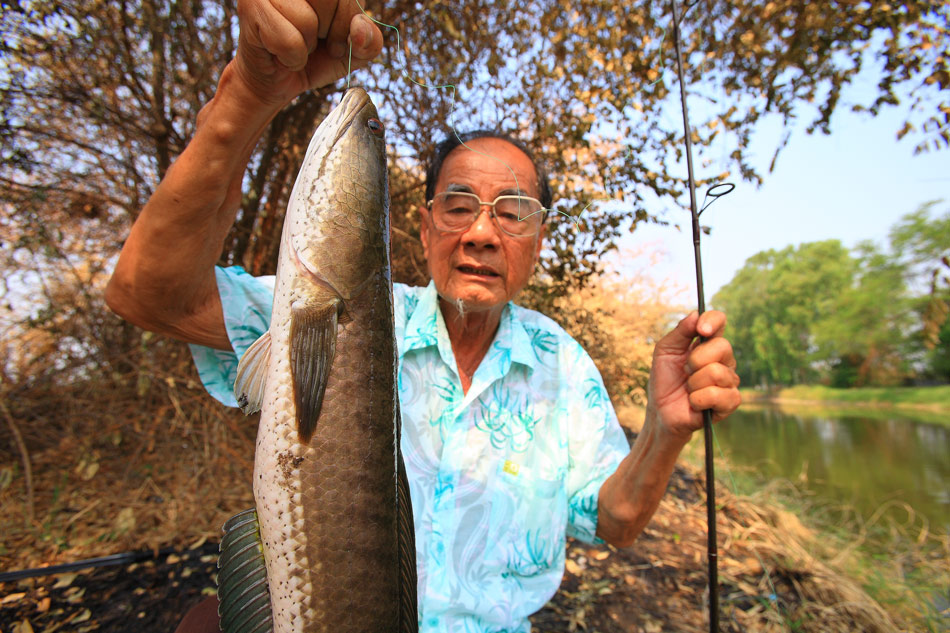 คุณพ่อบอกอีกว่า "ตกปลาแบบนี้ ด้วยเหยื่อเป็นมันส์กว่าเป็นไหนๆ !!!"