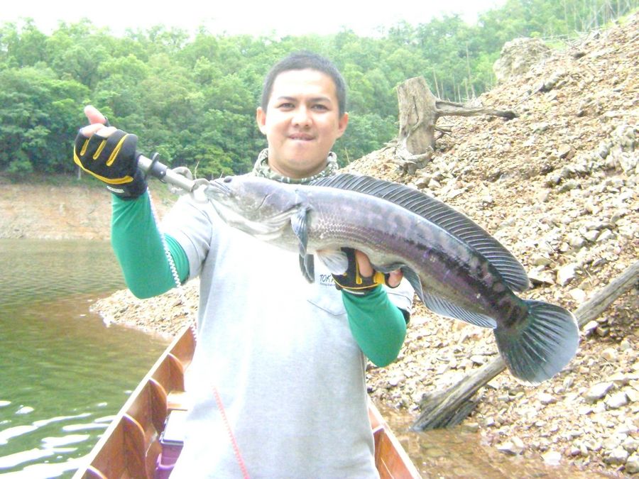 [q][i]อ้างถึง: Mong-Actionlure posted: 25-06-2556, 21:52:38[/i]

+หล่อเว้ยยยยยยย :grin: :grin: :gr