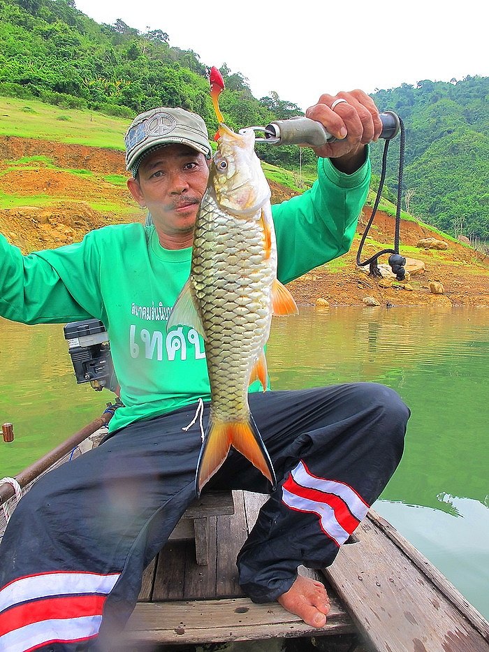  [b]** ไซร์สวยๆเลย....อิอิอิ[/b]  :grin: :grin: :cool: :cool: :cool: :cool: