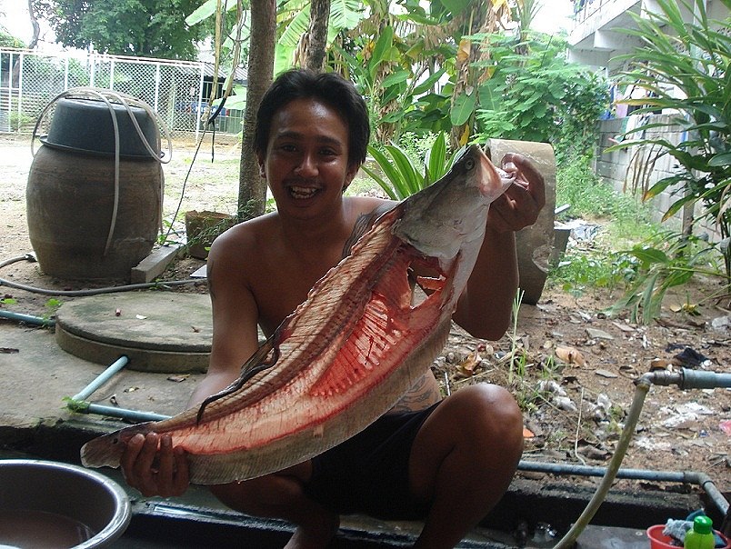 เอากลับมาแปรสภาพคับ