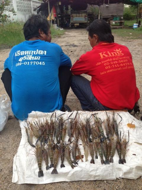 ผลงานคนหลังคัน