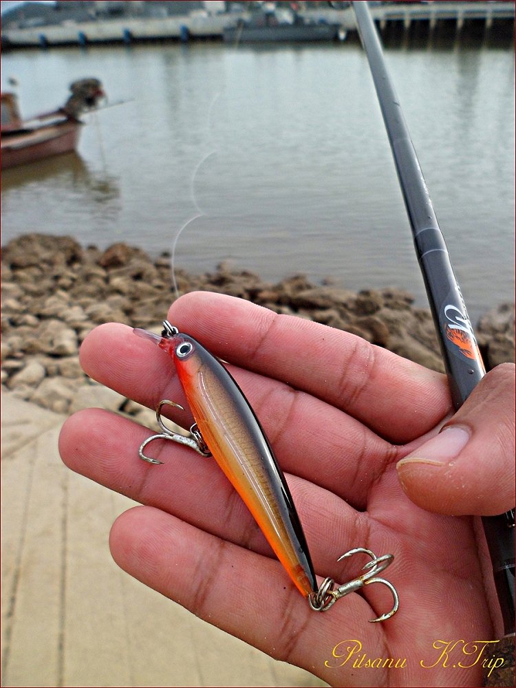  [center]:cheer: เลือกเป็น Rapala X-Rap 6 ตัว นี้ก่อนเลยครับ :cheer:[/center]